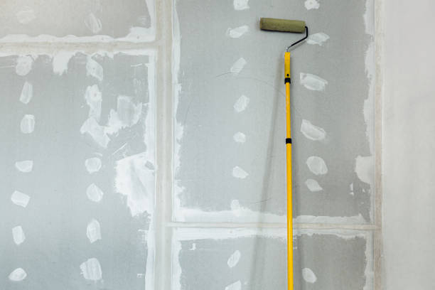 Wallpaper Removal and Painting in Carrollwood, FL